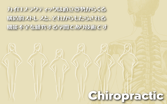 カイロプラクティック（英名Chiropractic）について